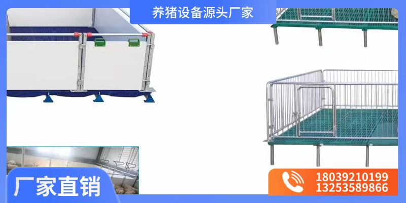 常州市猪场定位栏保育栏 - 方案