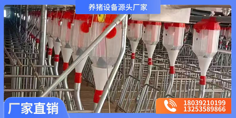 常州市猪场设备漏粪板 - 方案