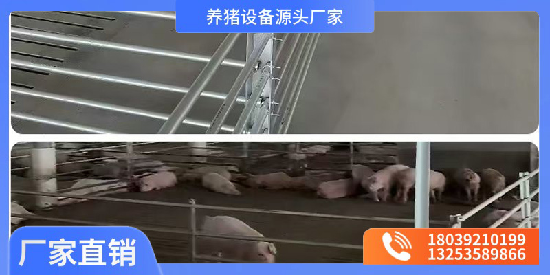 常州市猪场料槽养猪设备 - 推荐